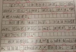 吃瓜大赛作文600字,一场舌尖上的吃瓜大赛
